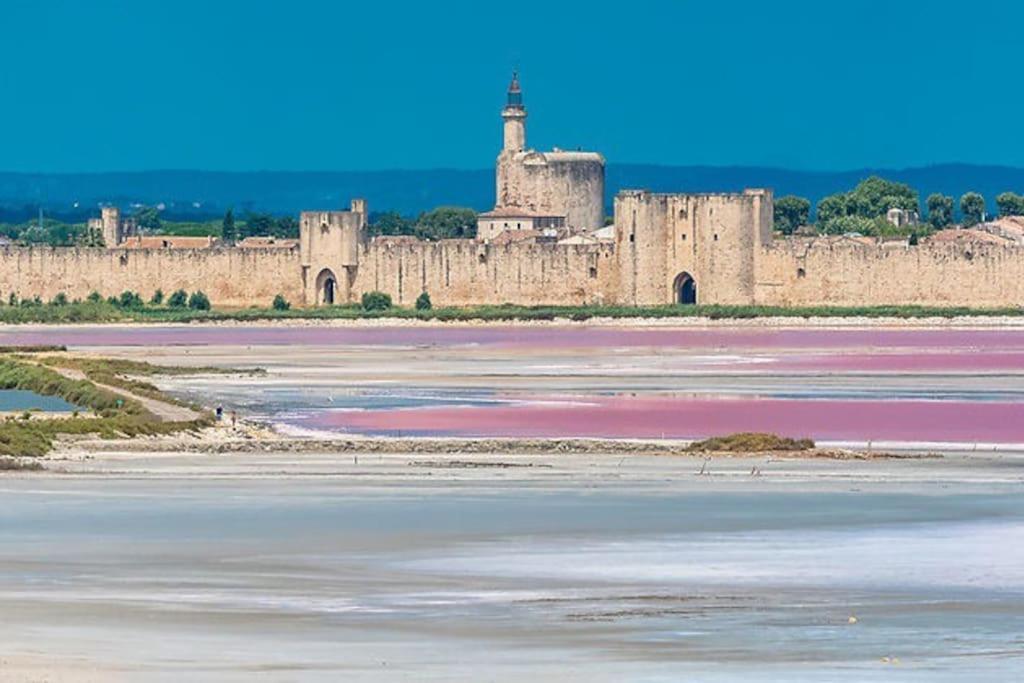 Maison A 800M Des Remparts Aigues-Mortes Exteriör bild